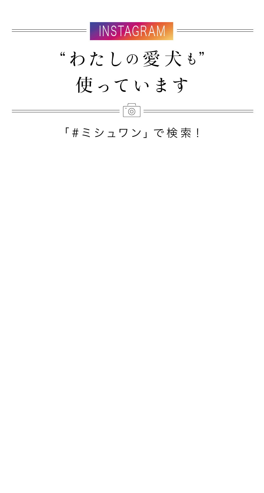 insta.jpg