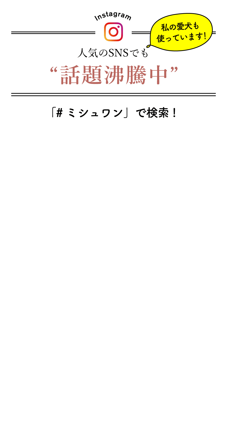 insta.png